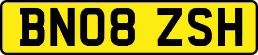 BN08ZSH