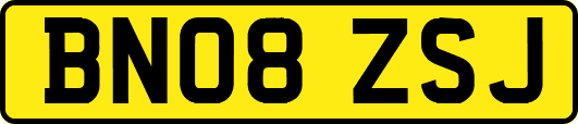 BN08ZSJ
