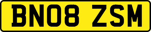BN08ZSM