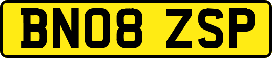BN08ZSP