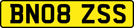 BN08ZSS
