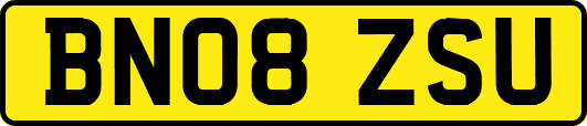 BN08ZSU