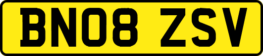 BN08ZSV