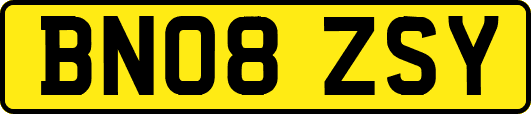BN08ZSY