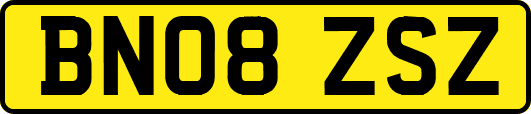 BN08ZSZ
