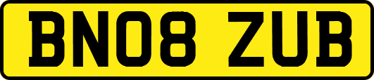 BN08ZUB
