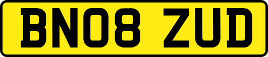 BN08ZUD
