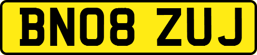 BN08ZUJ