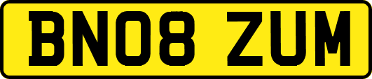 BN08ZUM