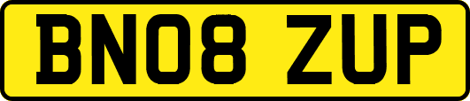 BN08ZUP