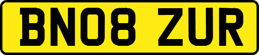 BN08ZUR