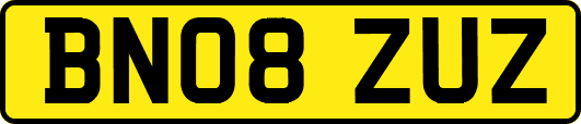 BN08ZUZ