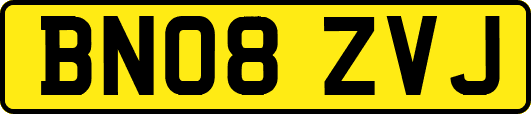 BN08ZVJ