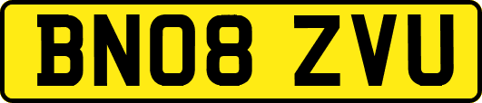 BN08ZVU