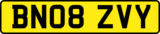 BN08ZVY