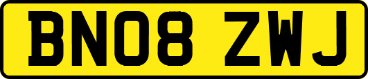 BN08ZWJ