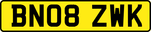 BN08ZWK