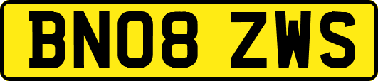 BN08ZWS