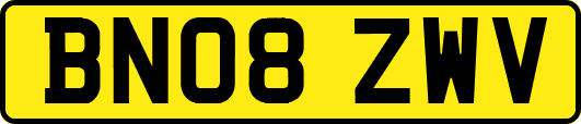 BN08ZWV