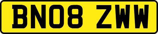 BN08ZWW