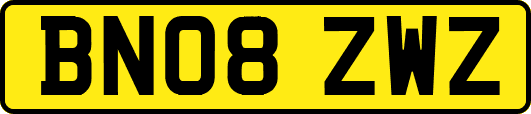 BN08ZWZ