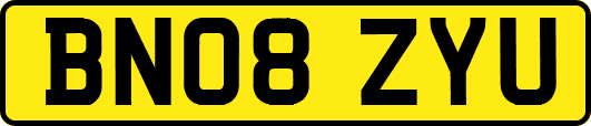 BN08ZYU