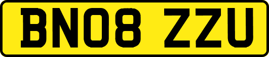 BN08ZZU