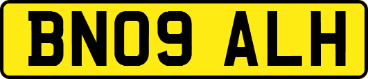 BN09ALH