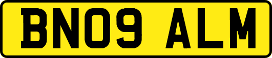 BN09ALM