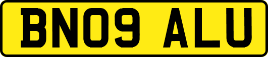 BN09ALU