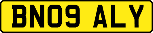 BN09ALY
