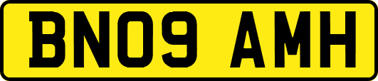 BN09AMH