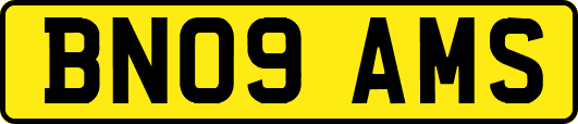 BN09AMS