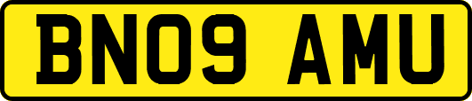 BN09AMU