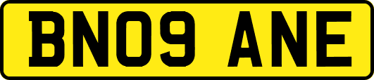 BN09ANE