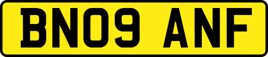 BN09ANF