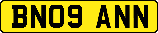 BN09ANN