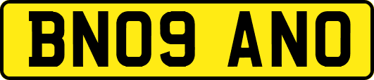 BN09ANO
