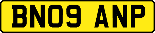 BN09ANP