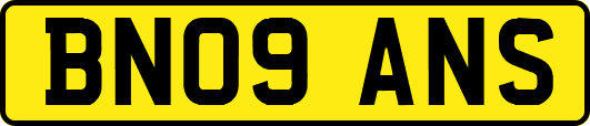BN09ANS