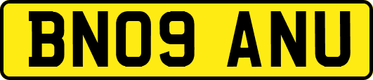 BN09ANU