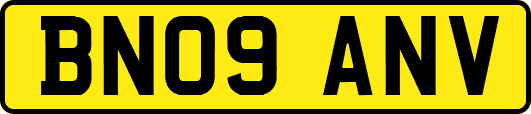 BN09ANV