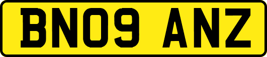 BN09ANZ