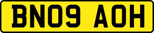 BN09AOH