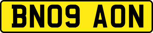 BN09AON