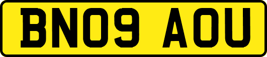 BN09AOU