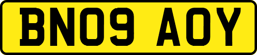 BN09AOY