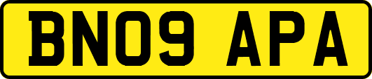BN09APA
