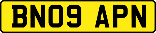 BN09APN