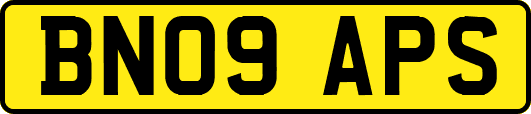 BN09APS